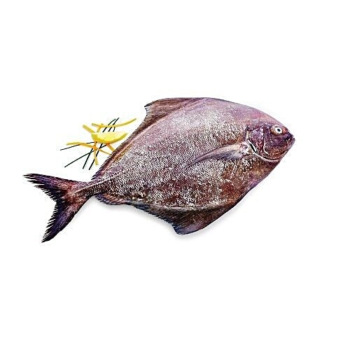 Antony Fish Shop. Fish - Vavval / Black Pomfret, 500 g Gravy Cut 