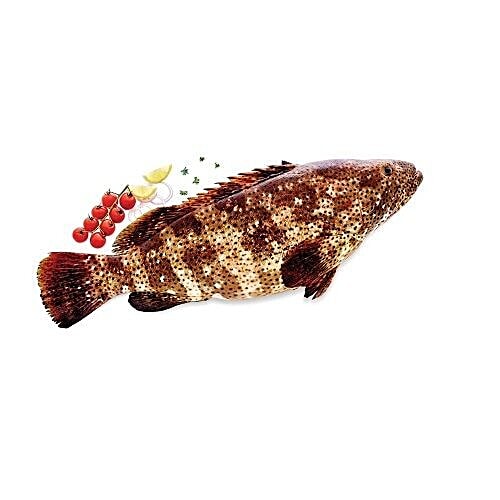 Buy Pattammal Seafoods Fish Grouper Online at Best Price of Rs null