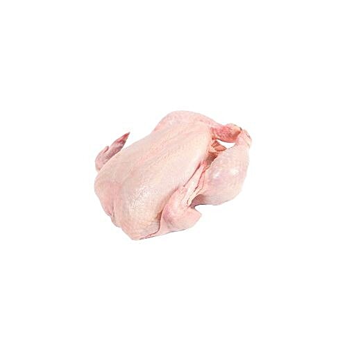 Batchabai Meat Store Chicken Whole - with Skin, 1 kg Large Cut Cleaned 