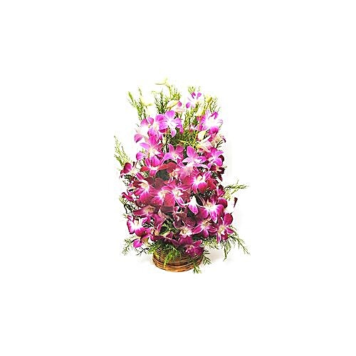 BLOOMS AND BOUQUETS Flower Bouquet - Orichids Basket, 1 pc  