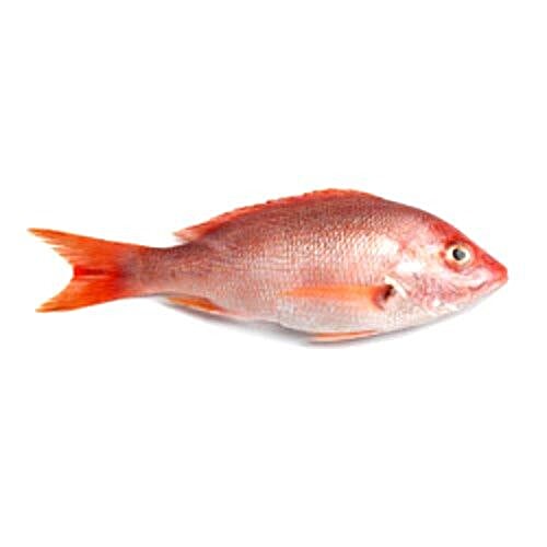 Buy Fish N Meat Fish Sankara Online At Best Price Of Rs 380 Bigbasket