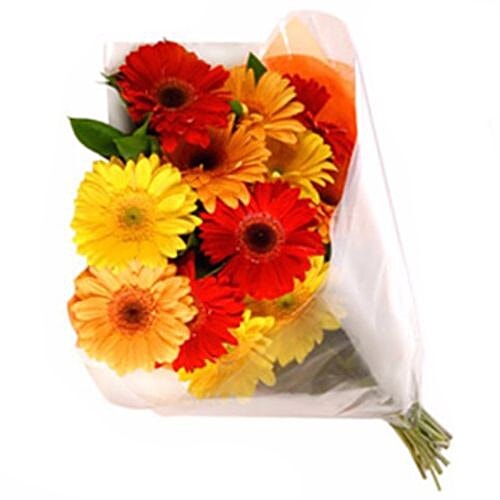 Blooms & Bouquets, BB Flower Bouquet - 8 Charming Mixed Gerberas, 1 pc  