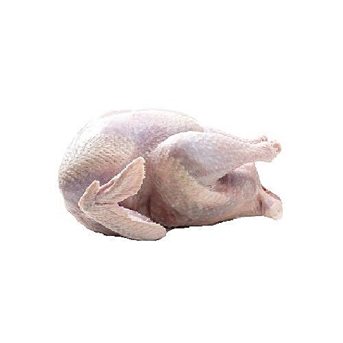 Buy Subbammal Proteins Turkey Vaan Kozhi Online at Best Price of Rs