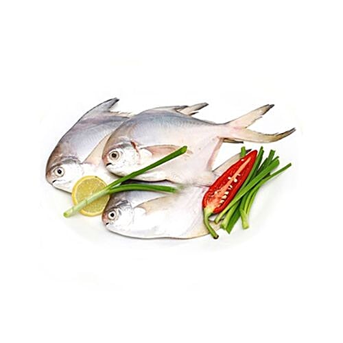 Buy Fresh World Fish Pomfret Online at Best Price of Rs null bigbasket