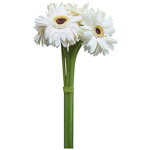 Bonzai White Gerbera Stems, 10 pcs