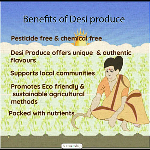 Natureship Foods Desi Corn Makai Sattu/Instant Sattu Drink - Roasted & Stone Ground By Hand, 250 g Pouch Energy Booster, Iron Rich, Mineral Rich, Daily Dose of Protein, Iron & anti-oxidants