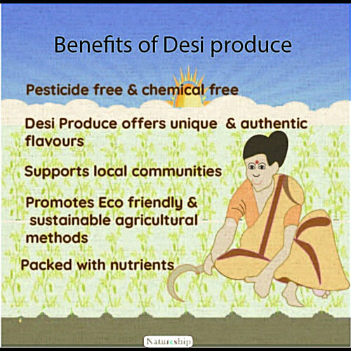 Natureship Foods Desi Corn Makai Sattu/Instant Sattu Drink - Roasted & Stone Ground By Hand, 250 g Pouch Energy Booster, Iron Rich, Mineral Rich, Daily Dose of Protein, Iron & anti-oxidants