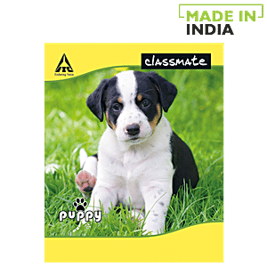 Buy Classmate Notebook - Ruled, Four Lines, 190 mm x 155 mm, Small, 172 ...