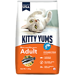 Buy Kitty Yums Dry Cat Food - Ocean Fish, Sardine & Mackerel, Complete ...