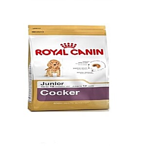 royal canin junior cocker