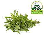Fresho Basil - Italian 100 g