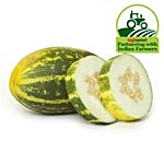 Fresho Cucumber Color - Grade A/Kakdi Rangit- Grade A 1 kg
