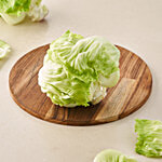 fresho! Lettuce - Iceberg 1 pc (Approx. 250g-500g)