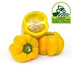 Fresho Capsicum - Yellow 250 g