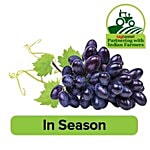 Fresho Grapes - Sharad Seedless 500 g