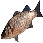 fresho! Sea Bass Fish - Cleaned Whole 900 g