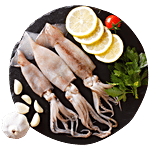 fresho! Squid Without Head-Medium 450 g (15-20 pcs)