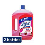 Lizol Disinfectant Surface & Floor Cleaner Liquid - Floral 2 L (Pack of 2)