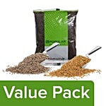bb Popular Cumin/Jeera - Whole 200 gm + Fenugreek/Methi 100 gm + Mustard/Rye - Small 200 gm Combo (3 Items)