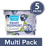 mother dairy Fruit Yoghurt - Blueberry 5x100 g Cup Multipack