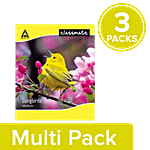 Classmate Notebook - Unruled, Small 3 x 172 Pages Multipack