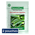 Natures Plus Lady Finger Plant Seeds For Home Garden 2 x Set of 1 Multipack