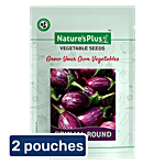 Natures Plus Brinjal Round Plant Seeds For Home Garden 2 x Set of 1 Multipack