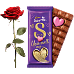 bb Combo Cadbury Dairy Milk Silk Chocolate 144 g + Fresho Roses Dutch Red Combo (2 Items)