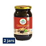 Organic India Chyawanprash 2 x 500 g (Multipack)