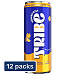 Tribe Zesty Gingerade Kombucha Probiotic Super Drink 12x250 ml (Multipack)