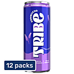 Tribe Bussin Lavender Kombucha Probiotic Super Drink 12x250 ml (Multipack)