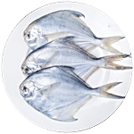 fresho! White Pomfret Fish-Large 900 g (6-8 pcs)