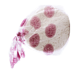 Bakes Fresh Pizza Base - White 150 gm (2 nos) Pouch