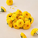 fresho! Chrysanthemum/Shevanti Flower 250 g