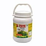 Priya Pickle - Mango Avakaya (With Garlic) 1 kg Jar