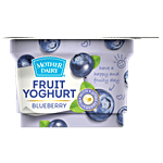 Mother Dairy Fruit Yoghurt - Blueberry 100 g Cup