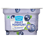 Mother Dairy Fruit Yoghurt - Blueberry 100 g Cup