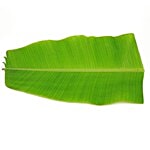 Fresho Banana Leaf 6 pcs