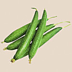 fresho! Sponge Gourd 500 g