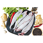 fresho! Bombay Duck/Lote Whole Cleaned 450 g (6-8 pcs)