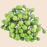 fresho! Thai Brinjal 100 g