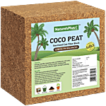 Natures Plus Coco Peat Block 1 kg