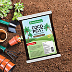 Natures Plus Coco Peat 1 kg