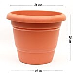 Natures Plus Green Planter - No. 4 3 pcs