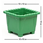 Kr Square Pot - Green (Pack of 6) Upper 12 X 12 cm Bottom 10 X 10 cm Height 10 cm