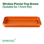 Natures Plus Window Planter Tray - Rectangular 1 pc 