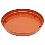 Natures Plus Planter Tray 6 pcs 