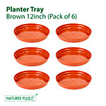 Natures Plus Planter Tray 6 pcs