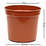 Natures Plus Nursery Pot - Brown 6 pcs