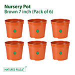 Natures Plus Nursery Pot - Brown 6 pcs 